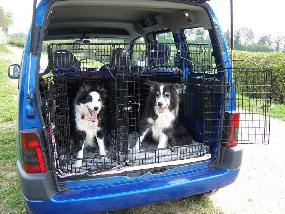 barnesbrook dog crates