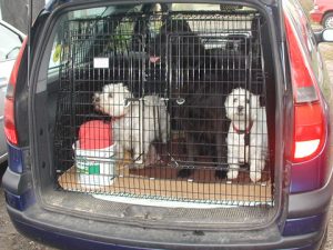 barnesbrook dog crates